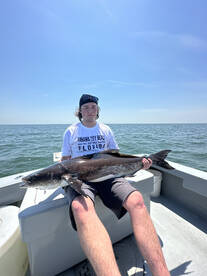 Virginia Beach Report Photo 2