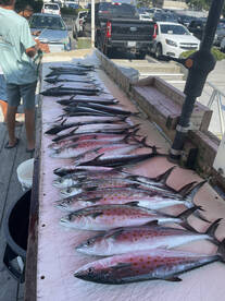 Virginia Beach Report Photo 1