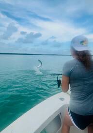 Islamorada Report Photo 1