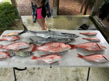Pensacola Report Photo 2