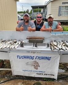 Empire Report Photo 2