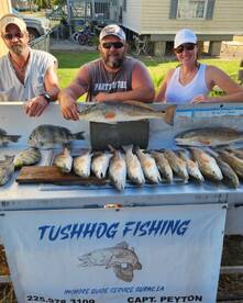 Empire Report Photo 1