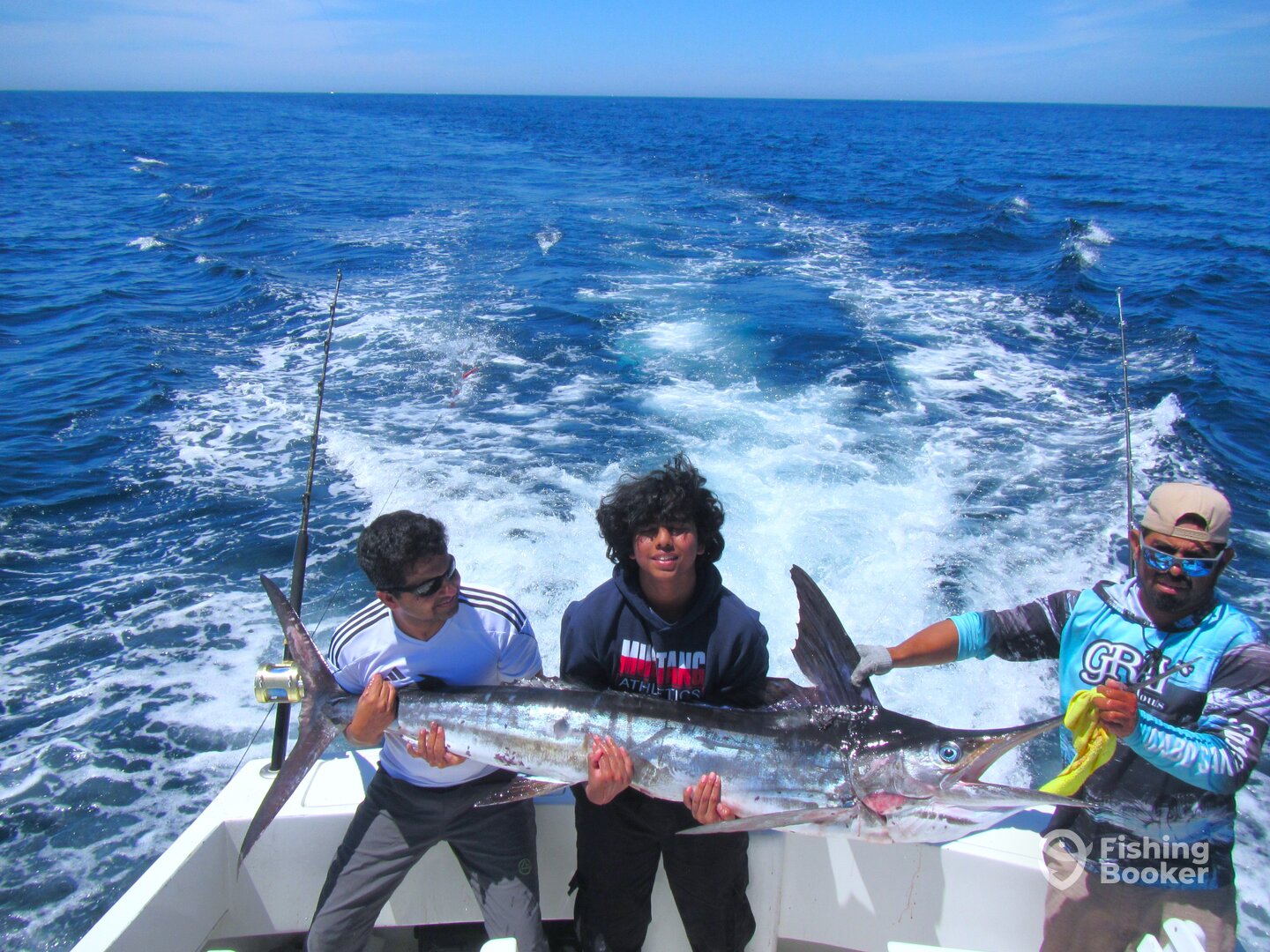 Cabo San Lucas Report Photo 0