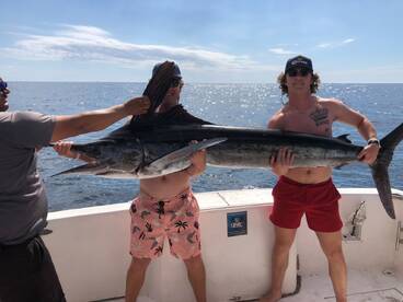 Cabo San Lucas Report Photo 1