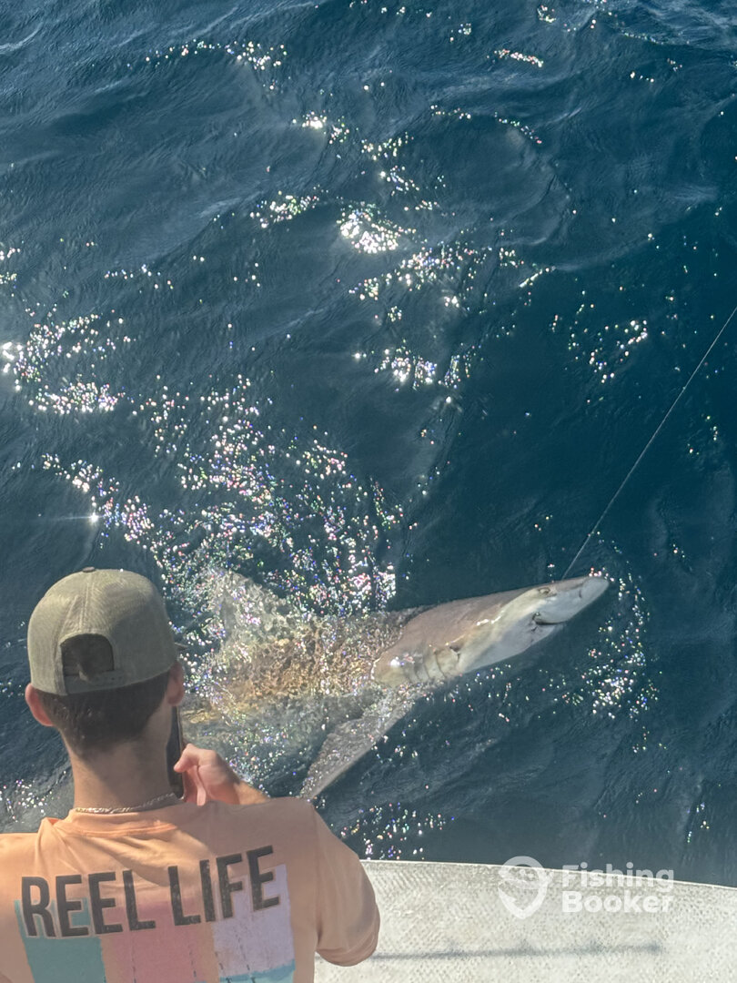 Panama City Beach Report Photo 0