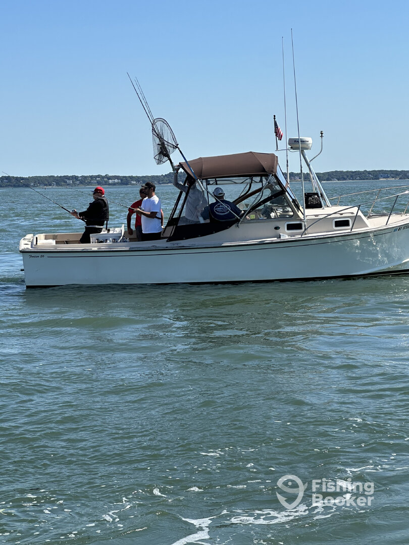 Hampton Bays Report Photo 0