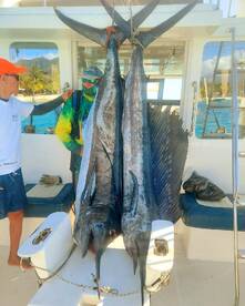 Le Morne Report Photo 2