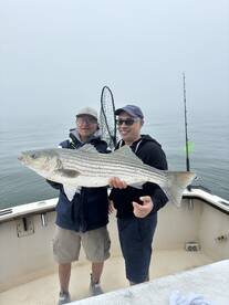 Montauk Report Photo 2