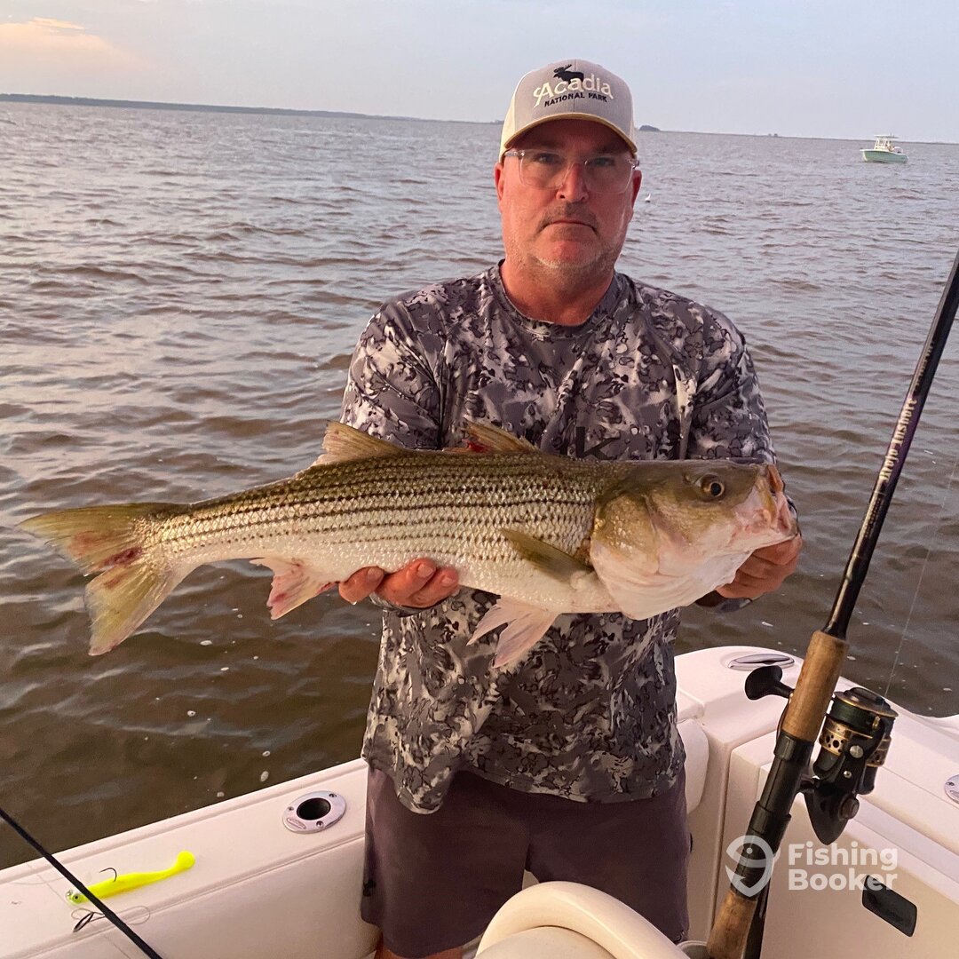 Nice 27 incher