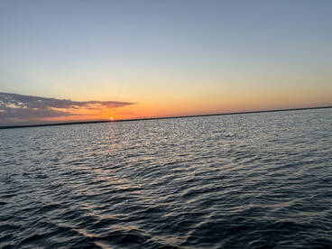 Out early, hot days and hot fishing!   