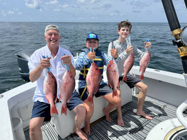 Red Snapper Limit 