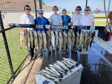 Massive cooler alert