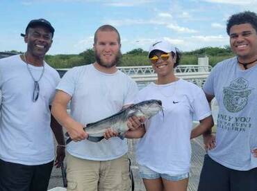 Catfish in the everglades
