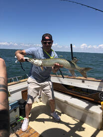 St. Clair Shores Report Photo 1