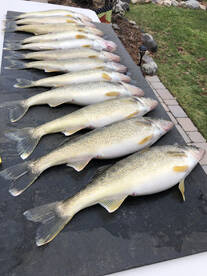 St. Clair Shores Report Photo 2