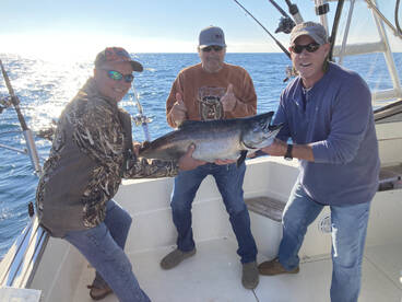 Early July on Bear King in Waukegan