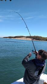 Southold Report Photo 1