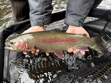 Cooper Landing Report Photo 1