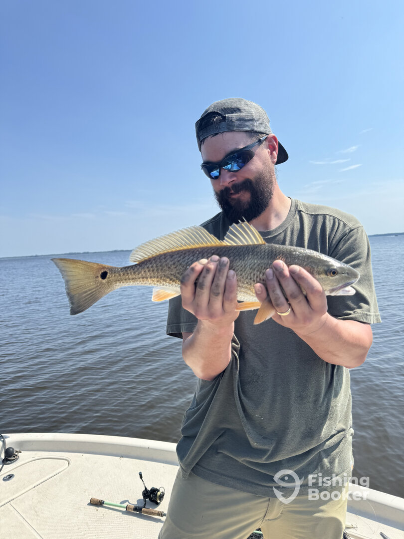 New Bern Report Photo 0