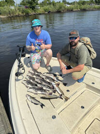 New Bern Report Photo 2