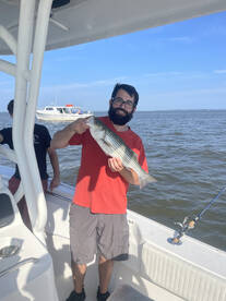 Annapolis Report Photo 1