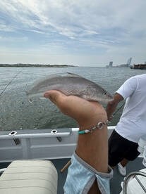 Brigantine Report Photo 1