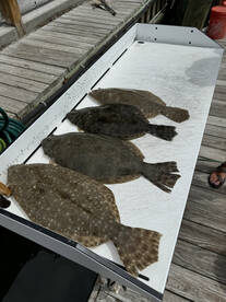 Bite was as hot as the weather  