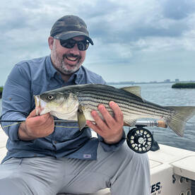 Sightfishing stripedbass in the shallows