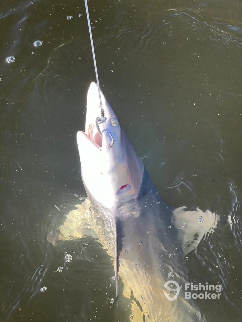 Marco Island Report Photo 0