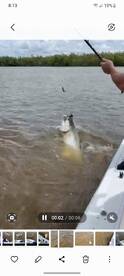 Marco Island Report Photo 1