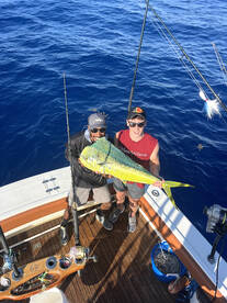 Mahi Mahi 