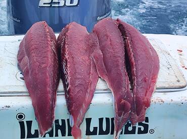 excellent day of fishing with Russty and