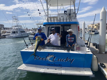 Cabo San Lucas Report Photo 1