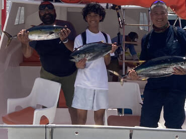 Cabo San Lucas Report Photo 2