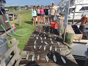 July 2 1/2 day morning 