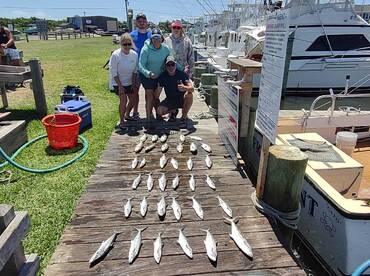 July 2 1/2 day afternoon  