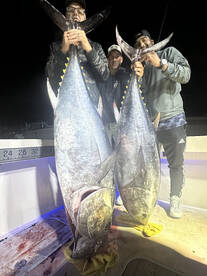 Great Tuna trips going on 