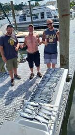 MACKEREL MASSACRE this am