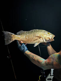 SNAPPER FISHING