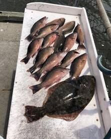 Jacksonville Report Photo 1