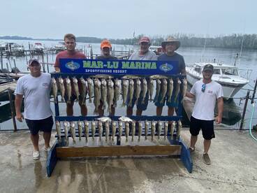 Lakeside Marblehead Report Photo 1