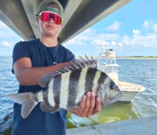 Its just fire lately...