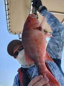 Gulf Breeze Report Photo 1