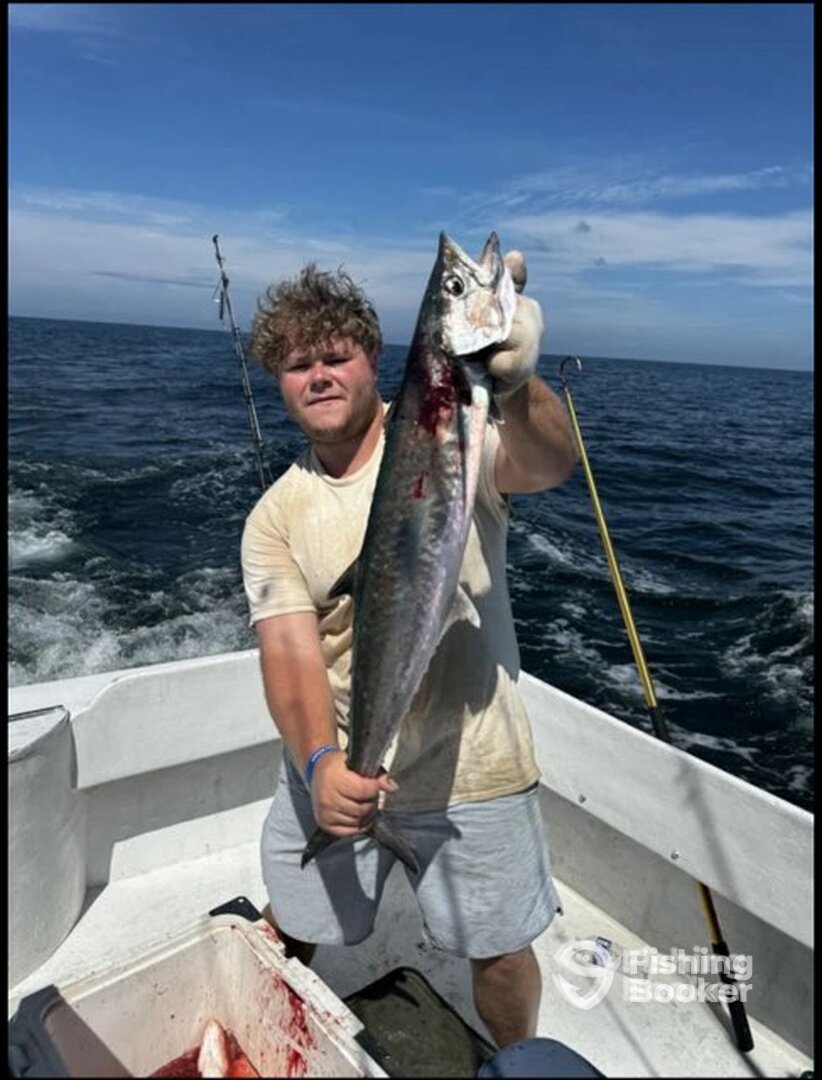 Orange Beach Report Photo 0