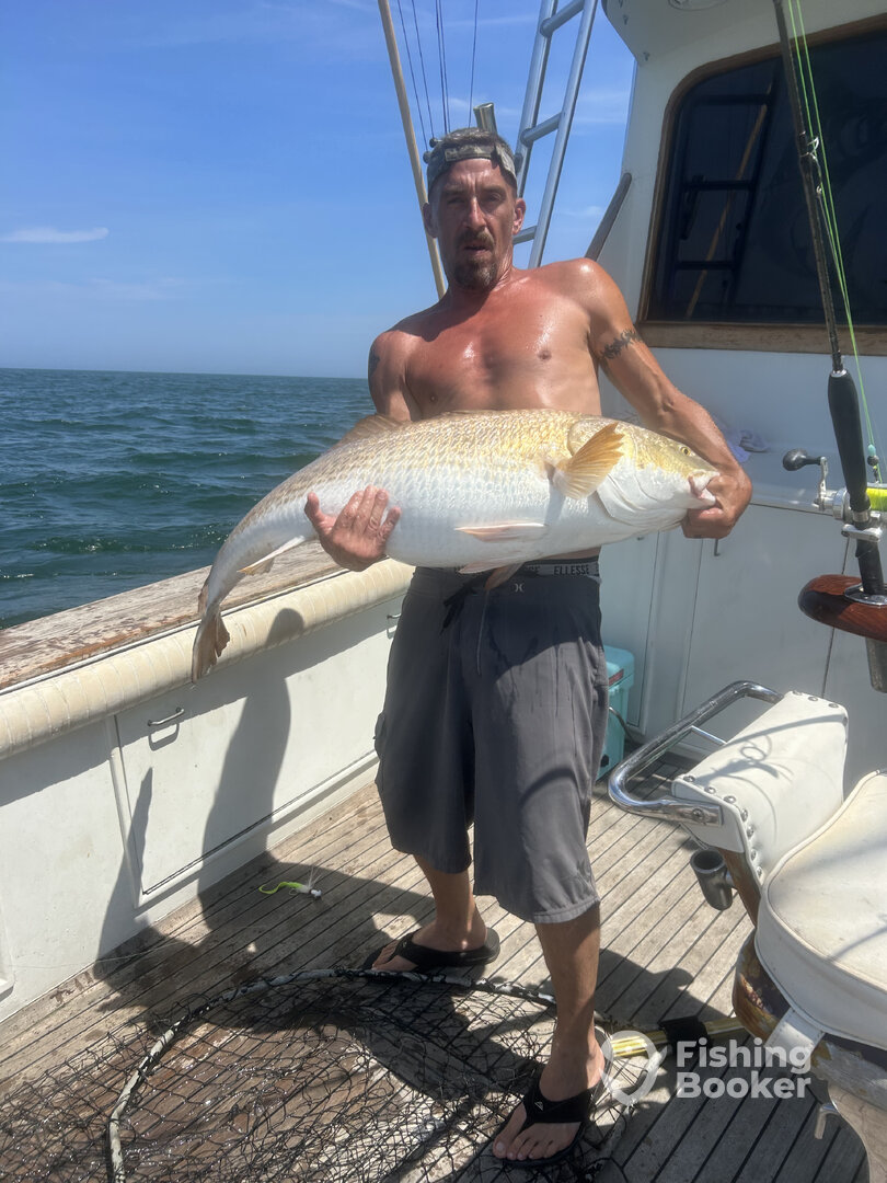 Norfolk Report Photo 0