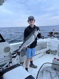 Newcastle Report Photo 2