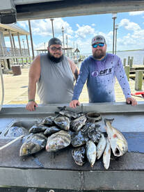 Staying on top of the fish 