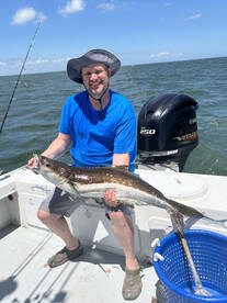 Weather is hot and so is the cobia fishi