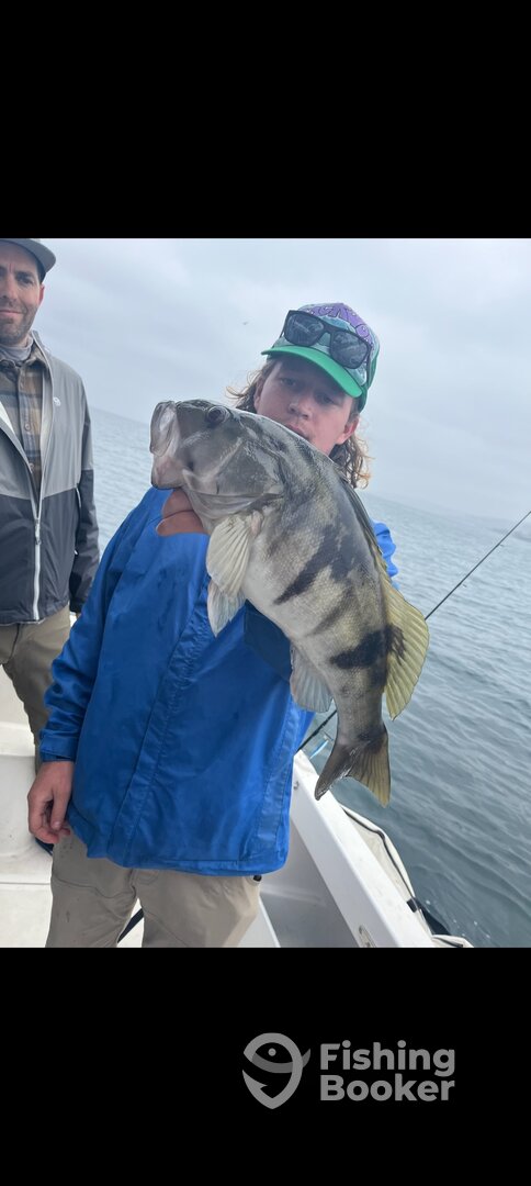 Dana Point Report Photo 0
