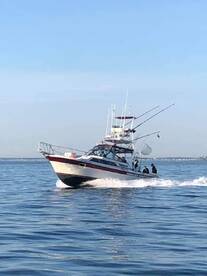 Summertime in Boston 